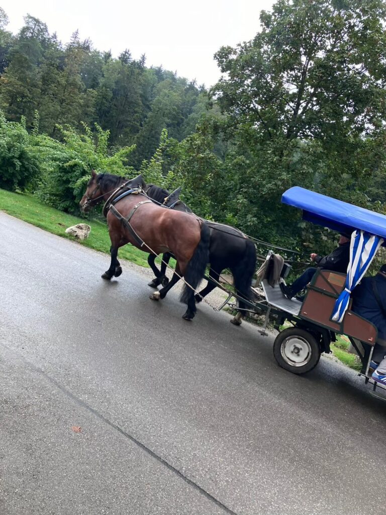 ノイシュバンシュタイン城　馬車