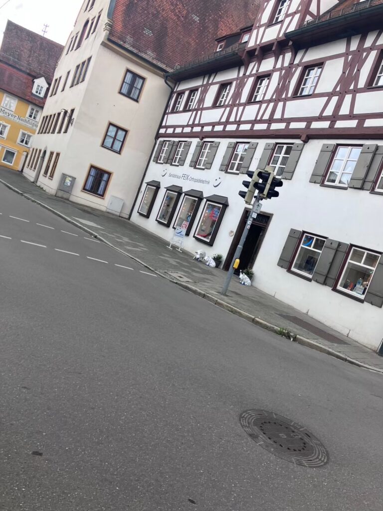 ネルトリンゲン　豚