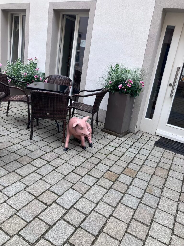 ネルトリンゲン　豚