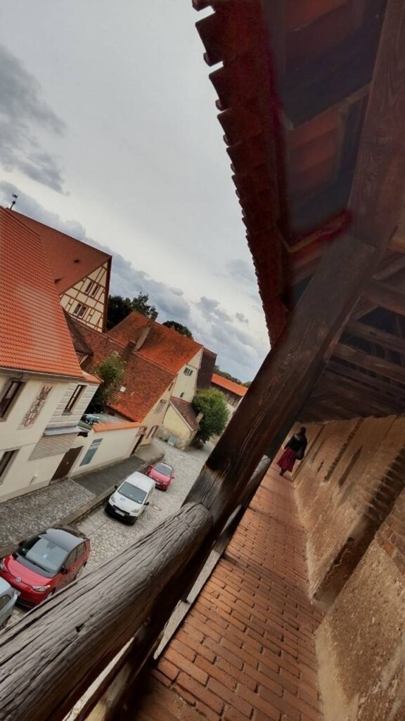 ネルトリンゲン