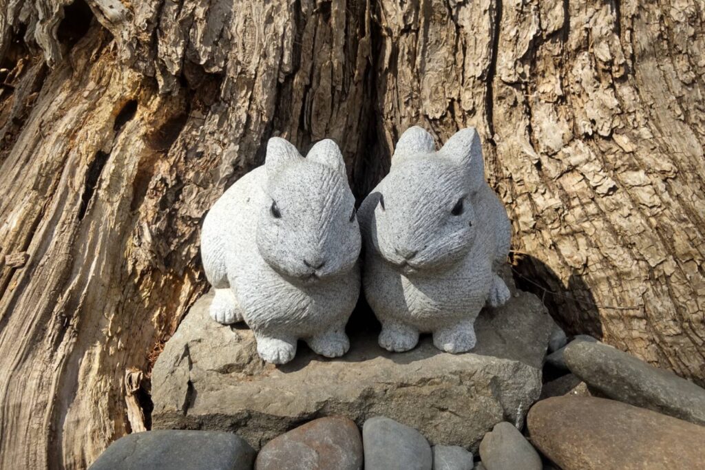 帯廣神社のうさぎさん巡り