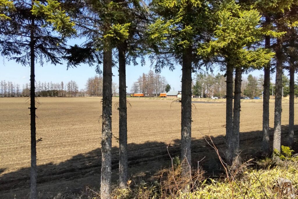 幸福駅のディーゼルカー