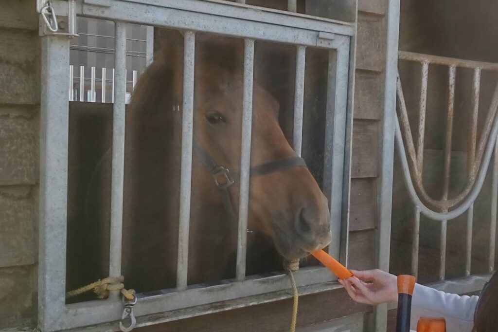 ばんえい十勝のふれあい動物園