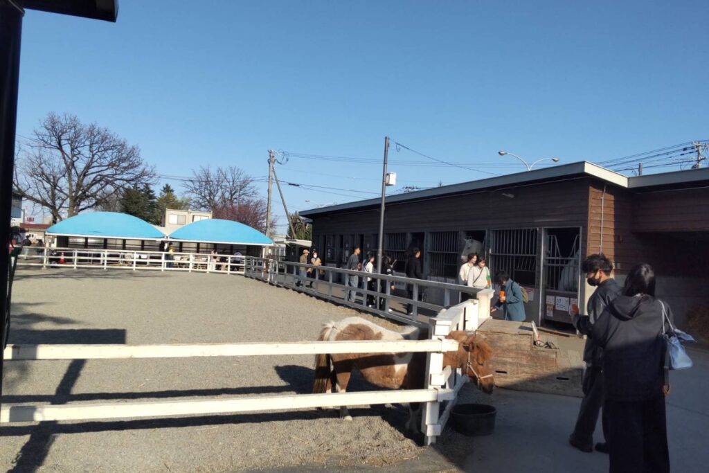 ばんえい十勝のふれあい動物園