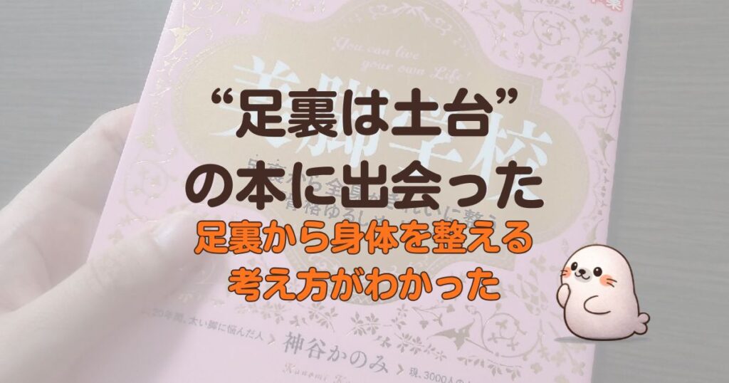 美脚学校の本