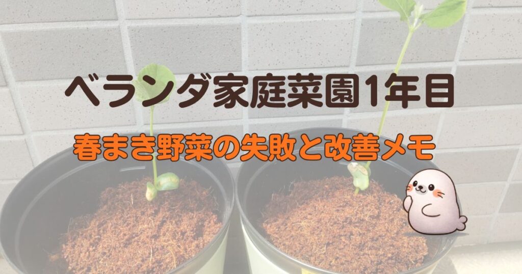 ベランダ家庭菜園1年目の春まき野菜の失敗と改善メモ