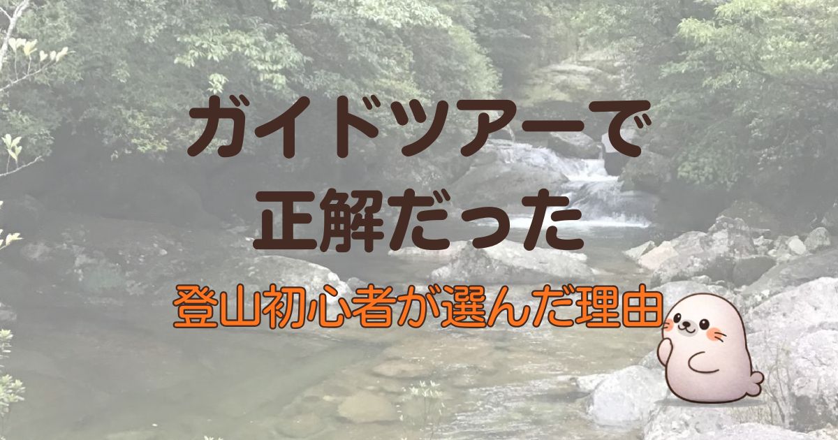 ガイドツアーで正解だった、登山初心者が選んだ理由