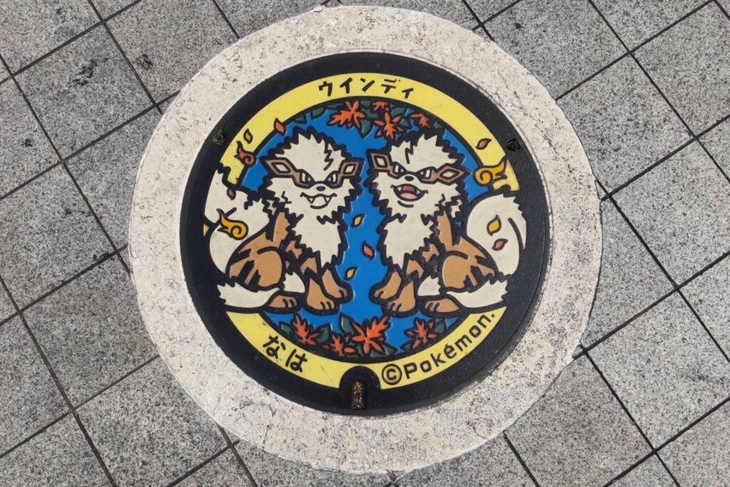 那覇市のウインディのポケフタ