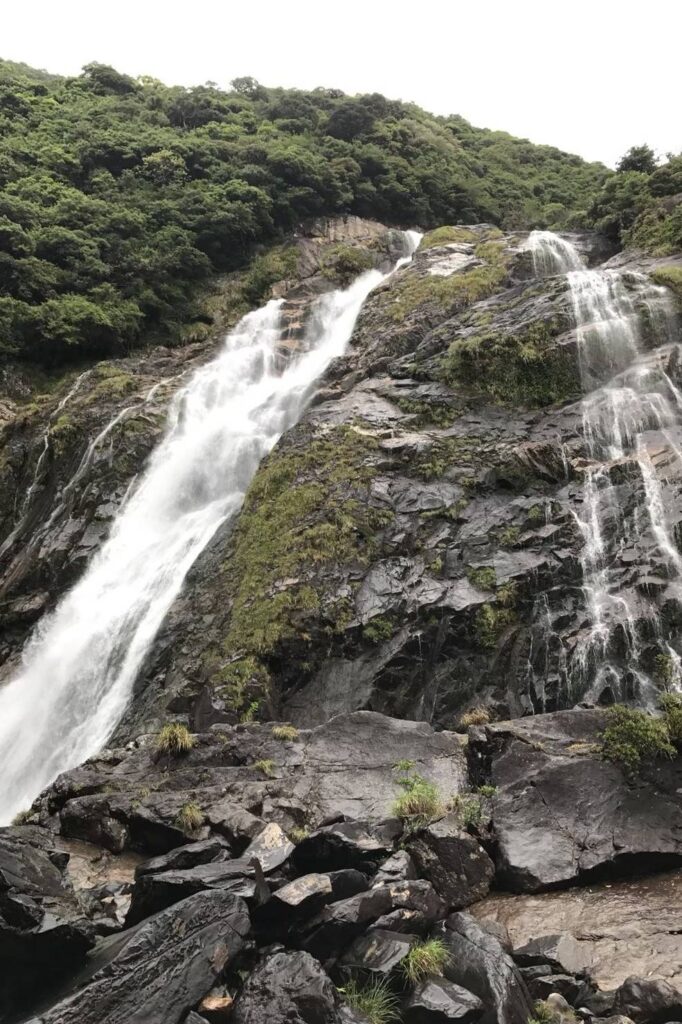 屋久島の大川の滝