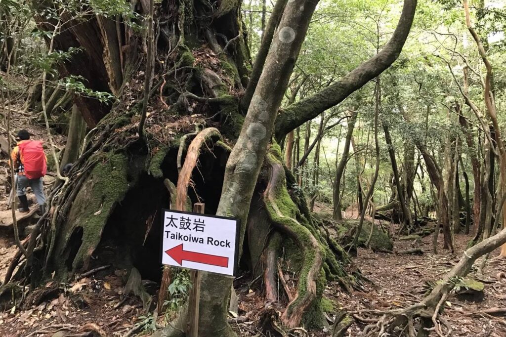 太鼓岩はこっち