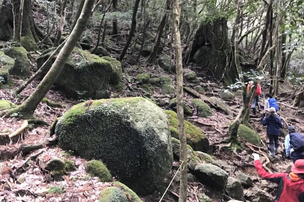 太鼓岩を目指す