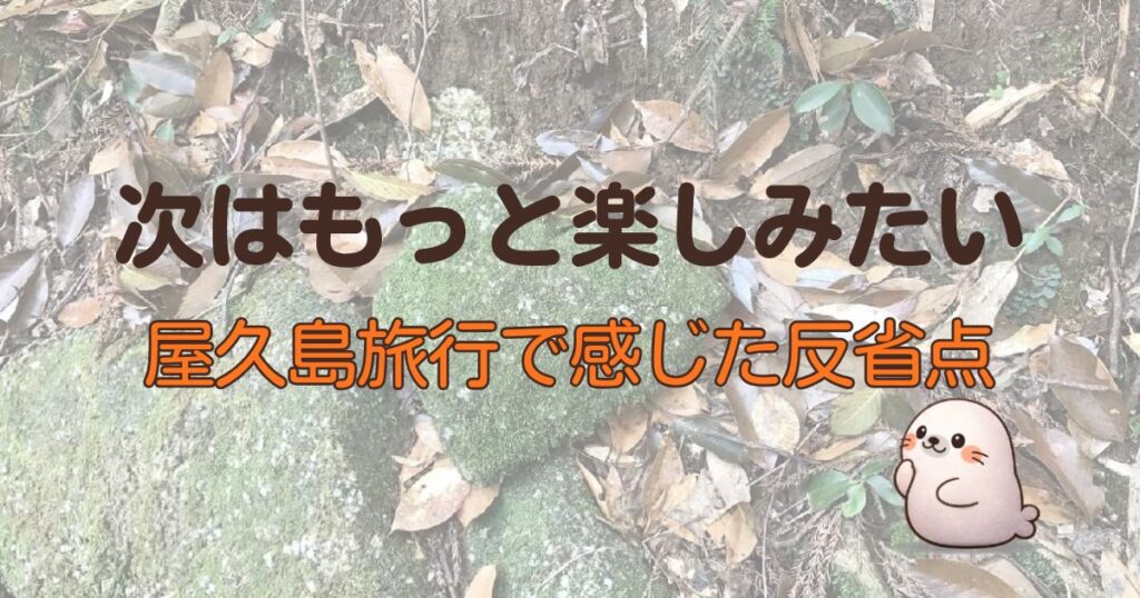 次はもっと楽しみたい、屋久島旅行で感じた反省点