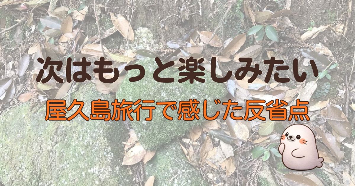 次はもっと楽しみたい、屋久島旅行で感じた反省点