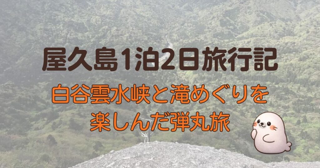 屋久島1泊2日旅行記、白谷雲水峡と滝めぐりを楽しんだ弾丸旅